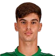 罗德里戈·里贝罗